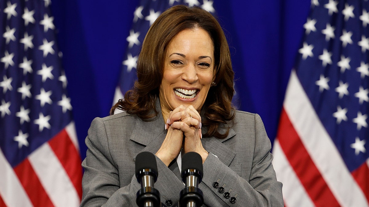 10 Key Insights From Kamala Harris' Concession Speech: Expert Analysis ...